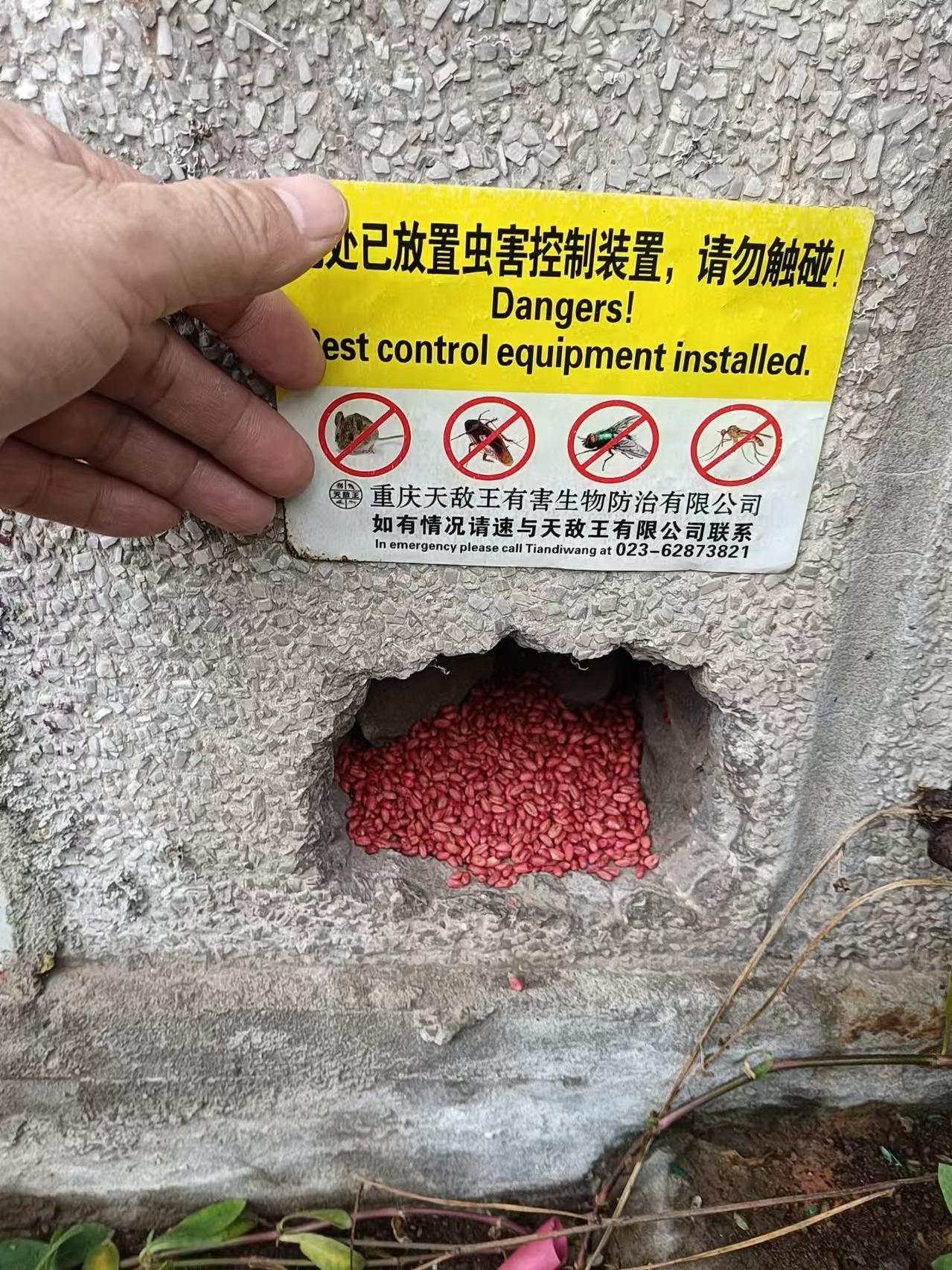 放置蟲(chóng)害控制裝置案例